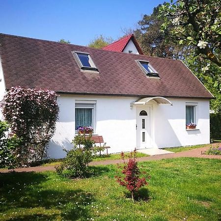 Ferienhaus Im Igelbau Baabe Extérieur photo